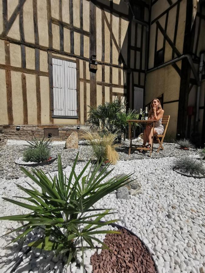 Le Chat De La Cathedrale - Calme - Jardin - Wifi Troyes Luaran gambar