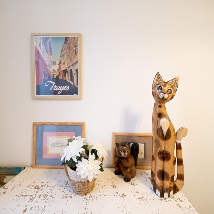 Le Chat De La Cathedrale - Calme - Jardin - Wifi Troyes Luaran gambar